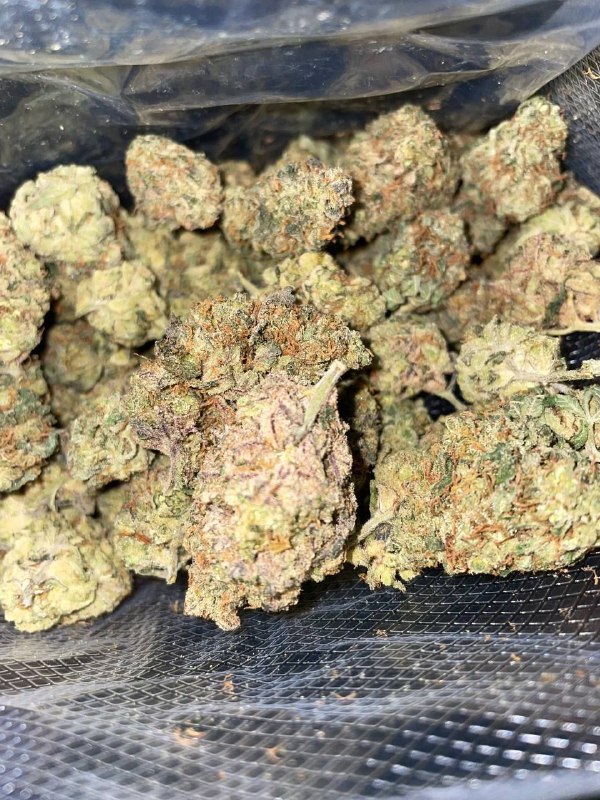 WHITE RUNTZ