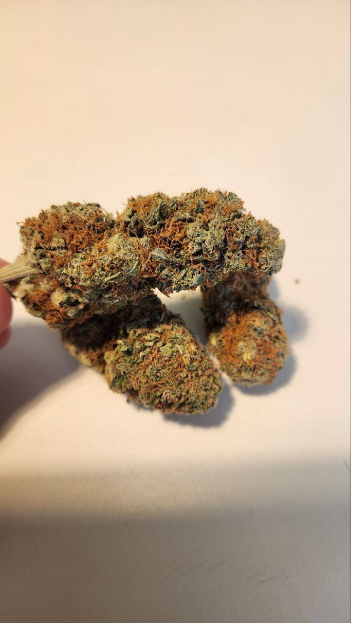 ☘️ CALI SPAIN WEED ☘️