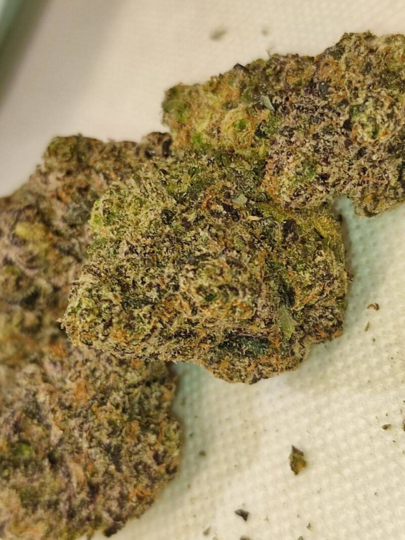 GELATO #41 🍁 Cali Weed 🇺🇲 (NO BAGS)