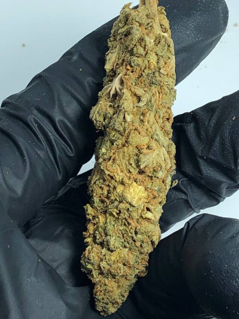 NATURAL WEED OUTDOOR🛑🛑