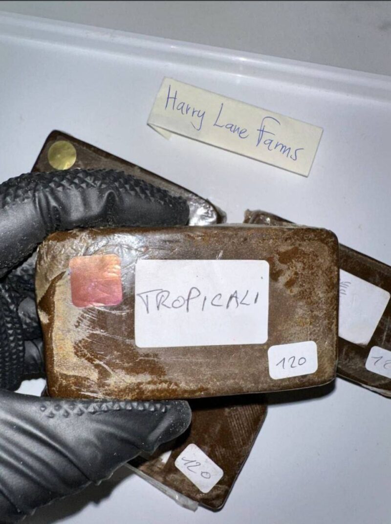 Harry Lane Farms - tropicali 🌴