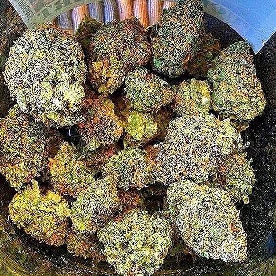 Ak 47