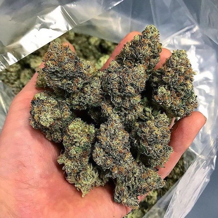 Buy Hawaiian Snow Online