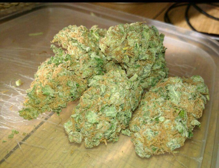 XXX Og
