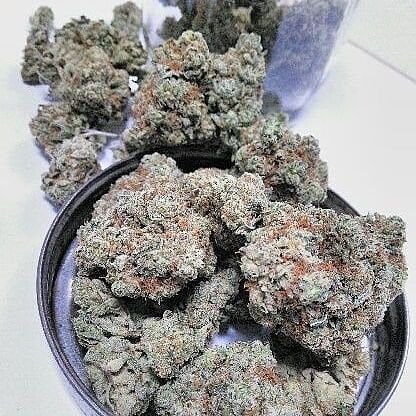 Buy Island Sweet Skunk
