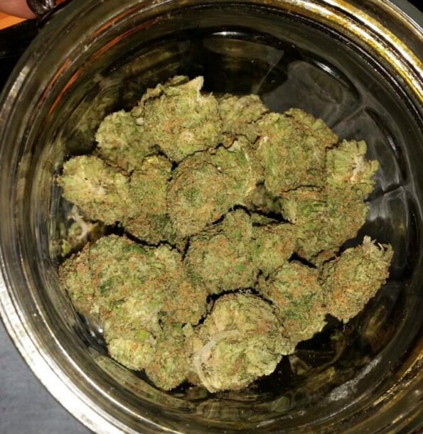 Gods gift