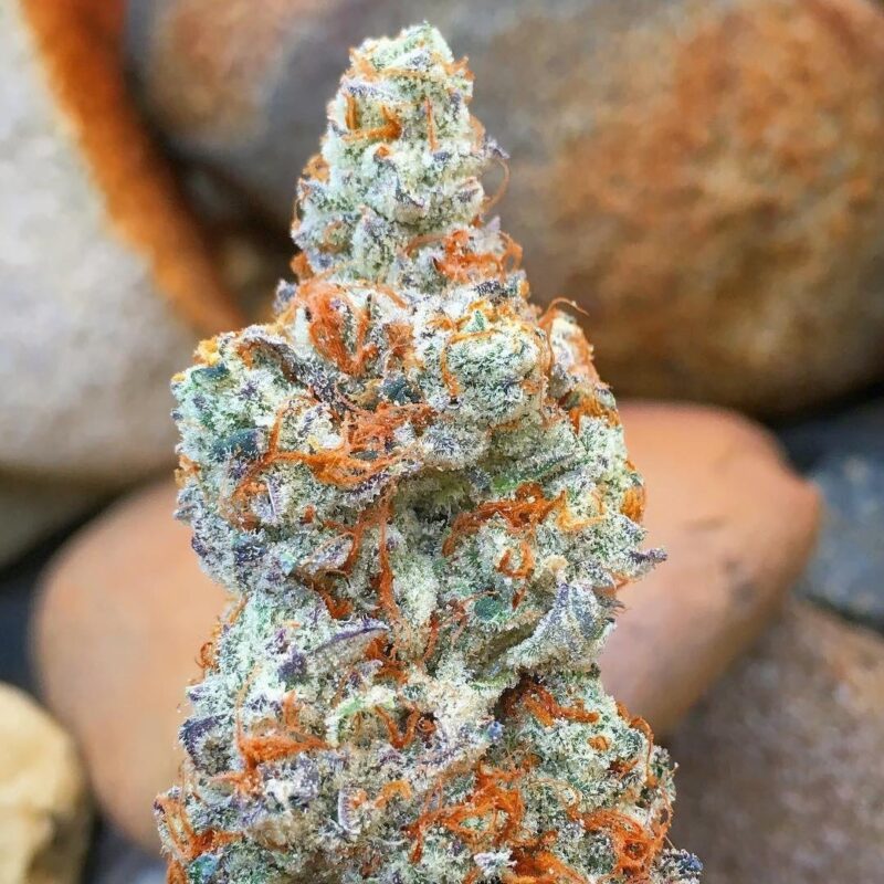 Candyland