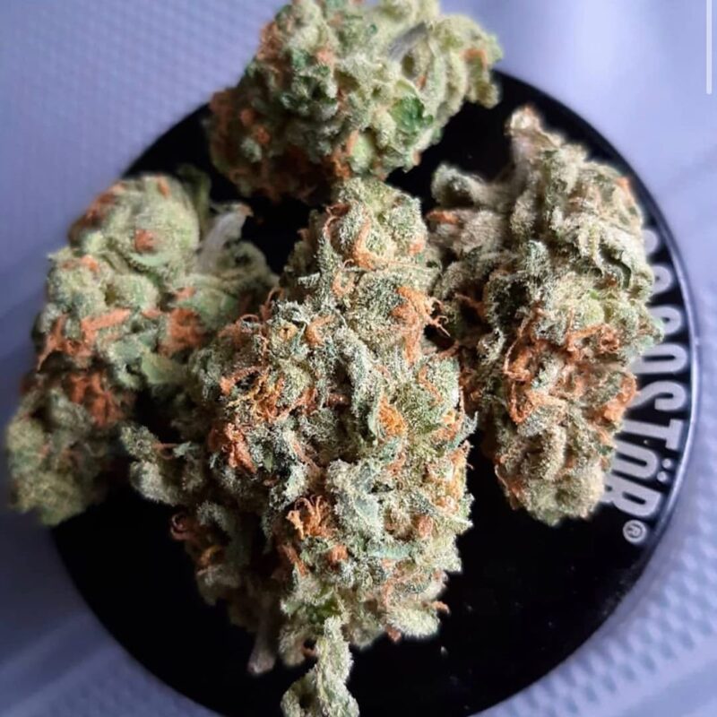 fruit punch