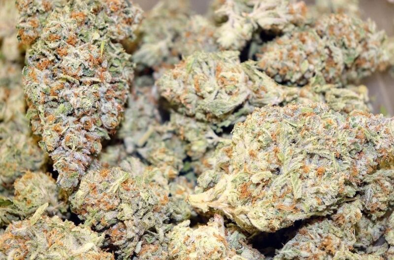 Tropicana cookies