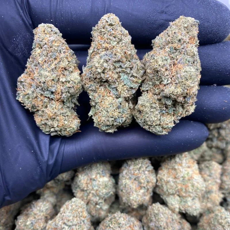 BANANA CAKE STRAIN