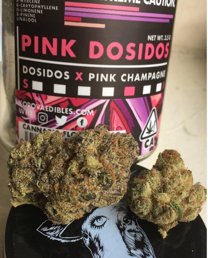Buy Pink Dosidos marijuana strain online