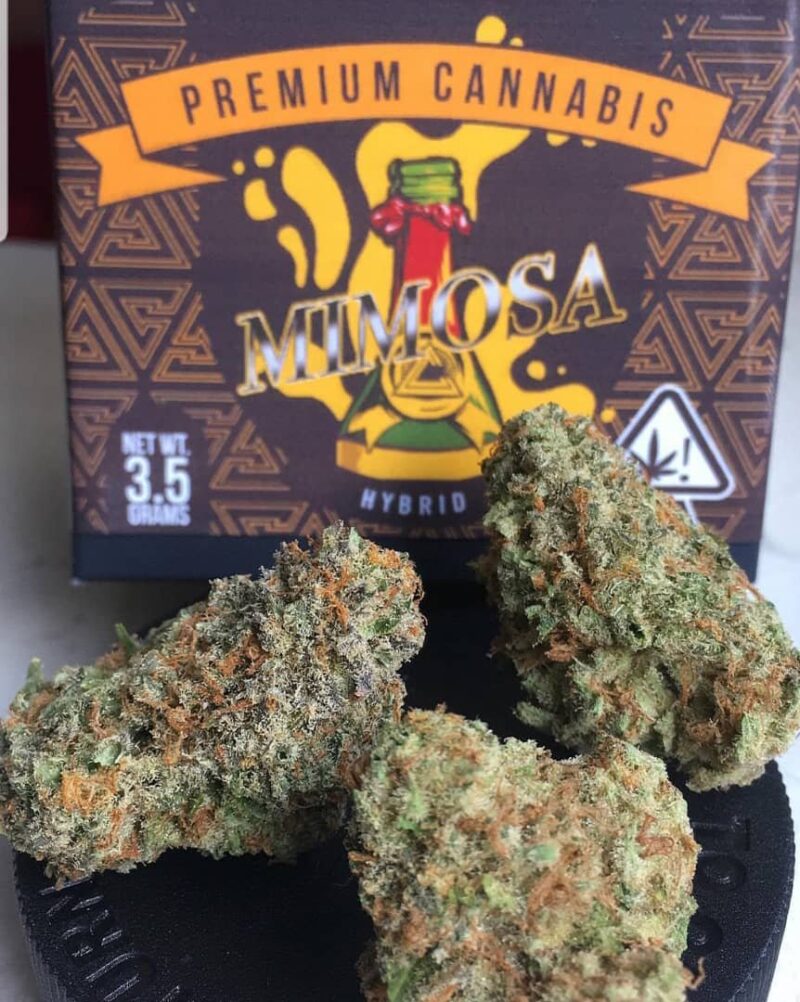 Mimosa