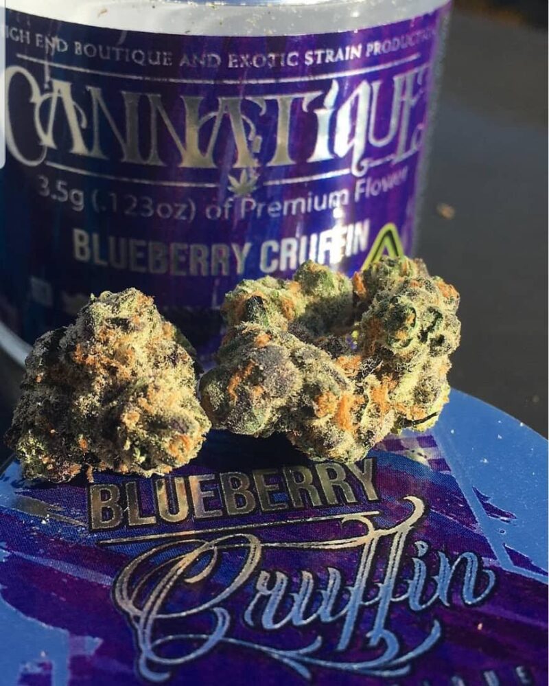 Blueberry