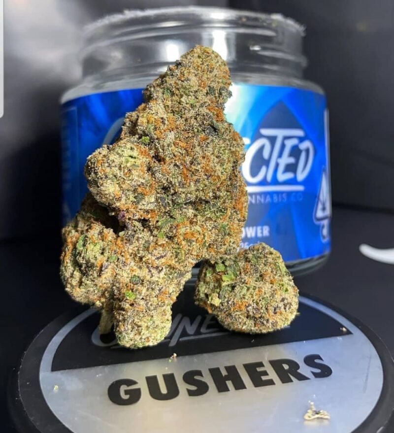 Gushers
