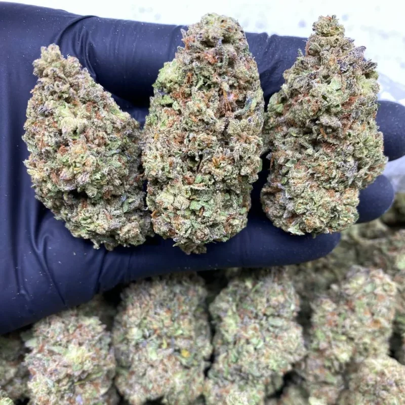 ICE CREAM SUNDAE