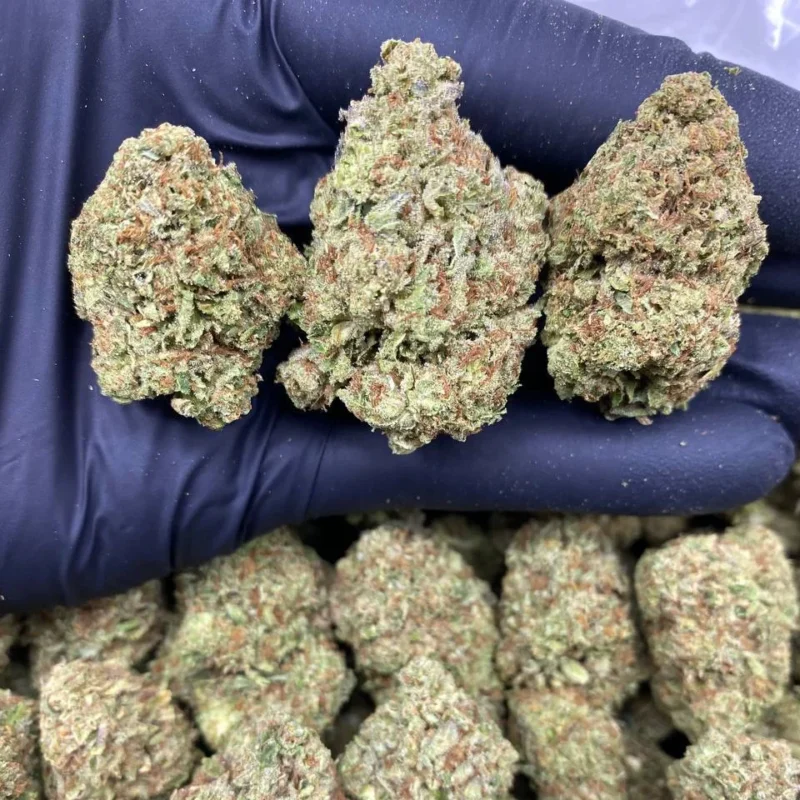 pineapple punch strain