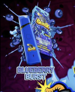 Blueberry Burst Disposable (indica)