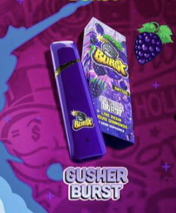 Gusher Burst Disposable (sativa)
