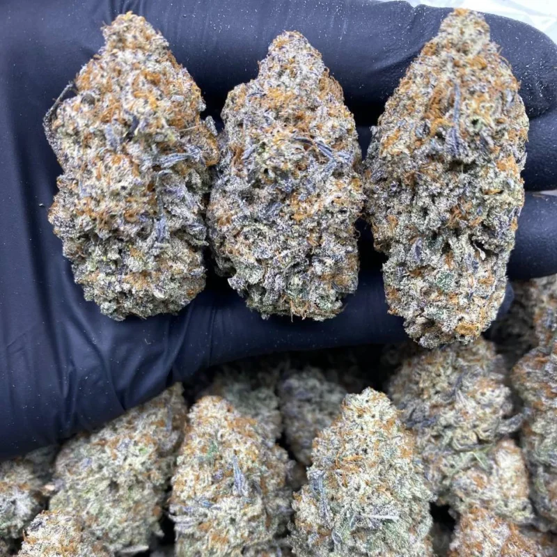 WHITE TRUFFLELATTO