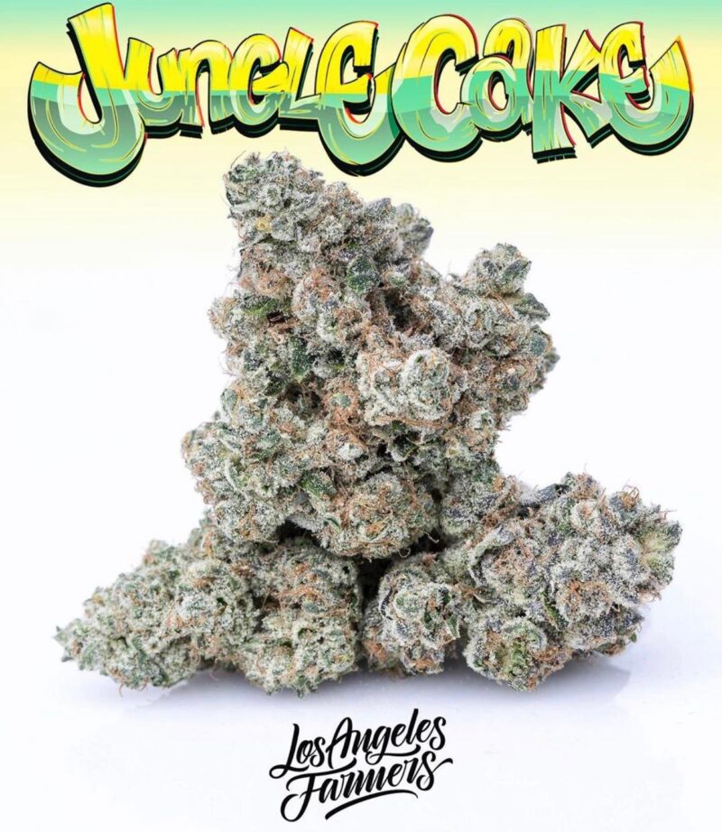 Buy jungle cake jungleboys in Michigan