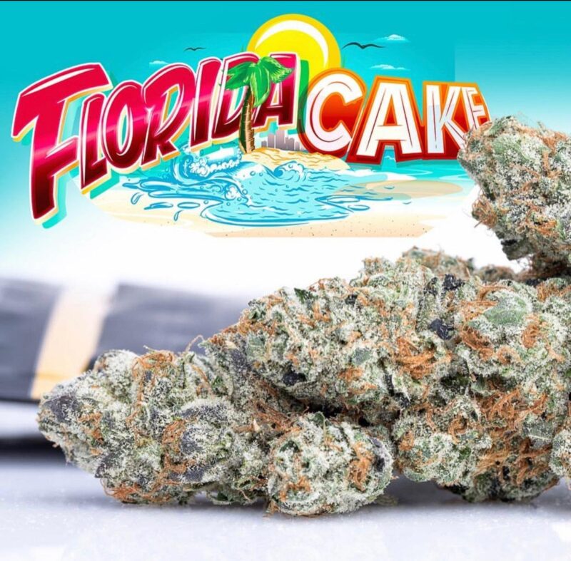 Buy Florida Cake Jungleboys