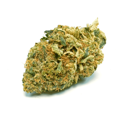 Gelato Weed