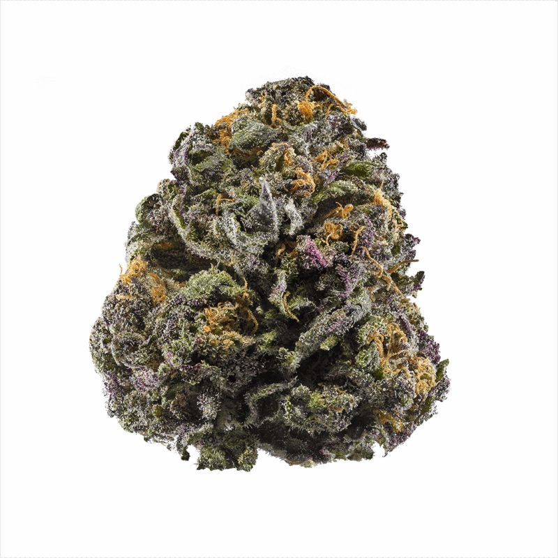 Grand Daddy