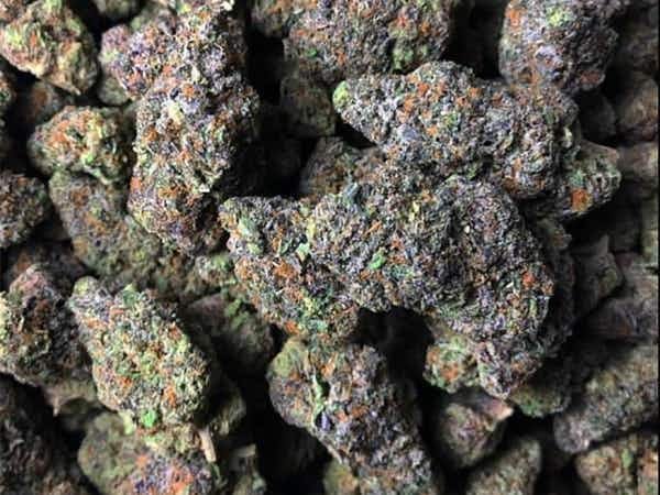 Gelato