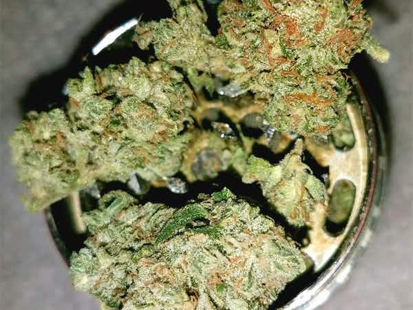 Ghost Strain Haze