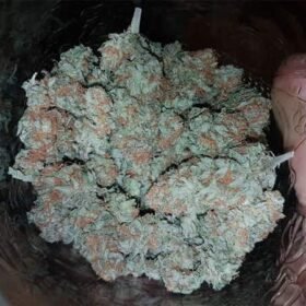 Pineapple kush