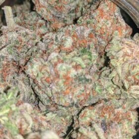 Purple Punch