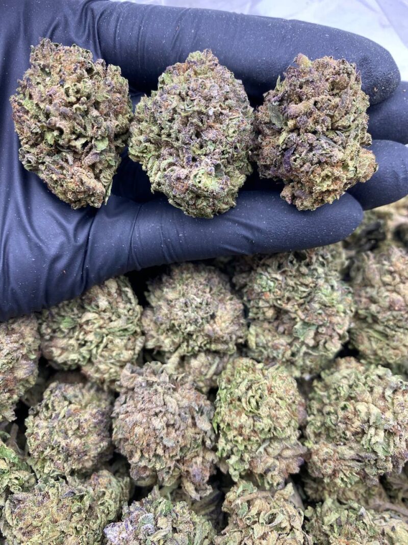 Gelato Gobstopper - Image 2