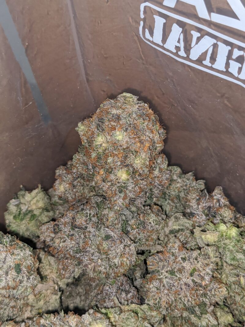 11 Week Pink - Image 6