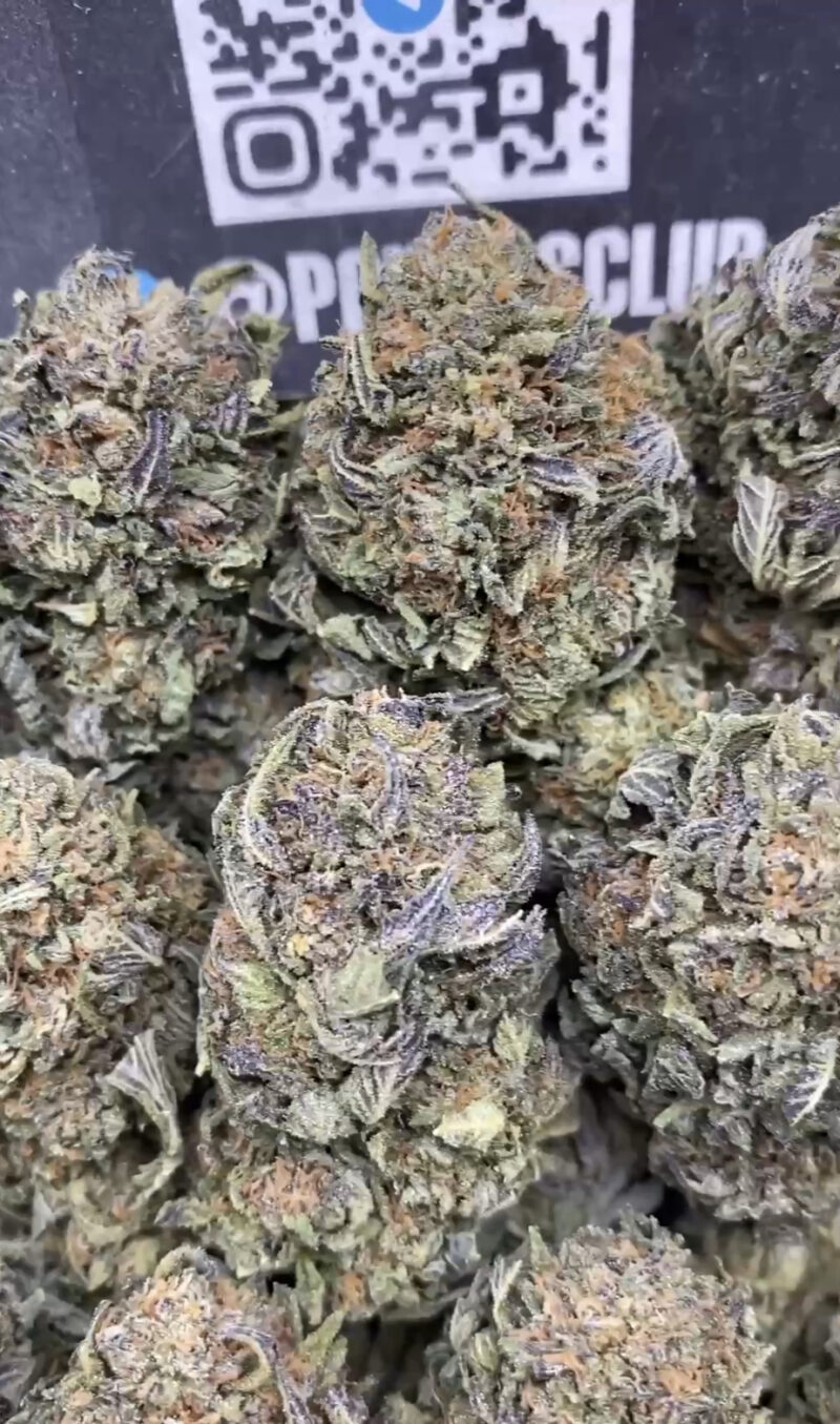 Sunset Sherbet