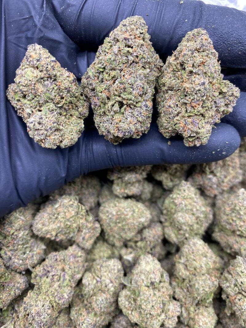 Rocket Fuel 