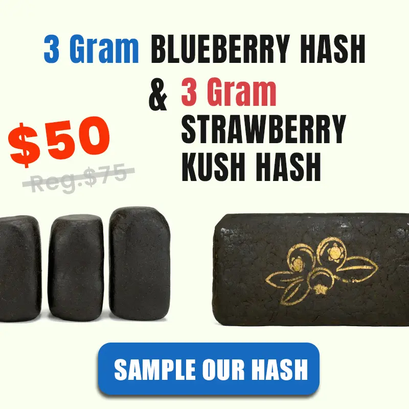 3 Grams Blueberry Hash + 3 Grams Strawberry Kush Hash