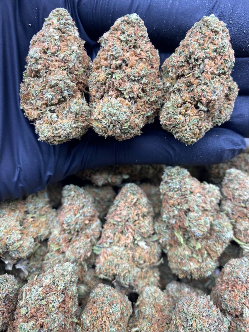Afghan Goo