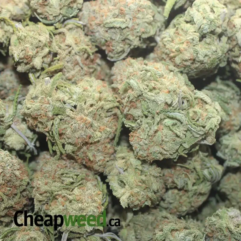 $43 Oz Nuken - Image 3