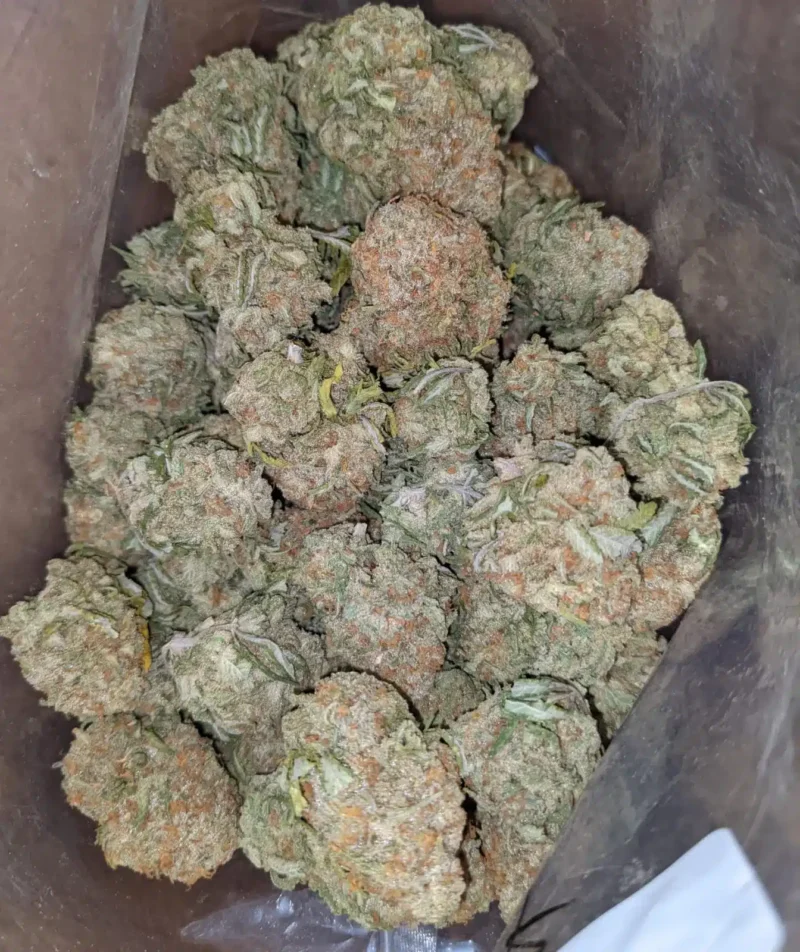 $43 Oz Nuken - Image 5