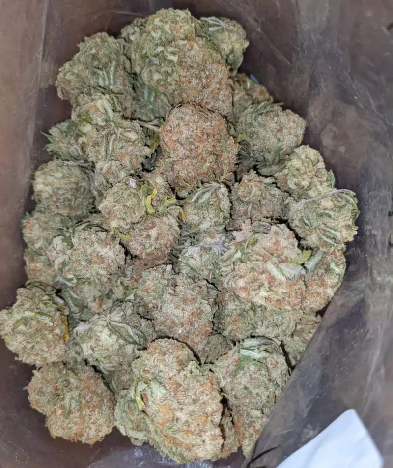 $43 Oz Nuken - Image 4
