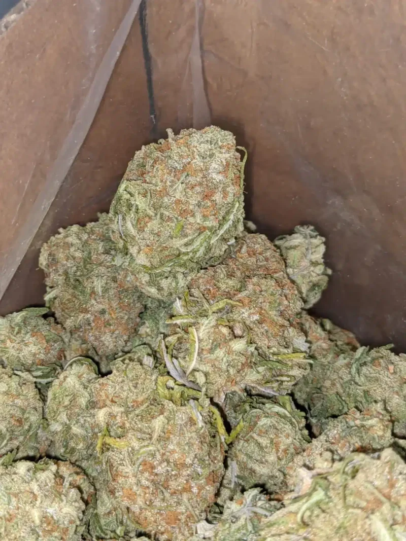 $43 Oz Nuken - Image 7