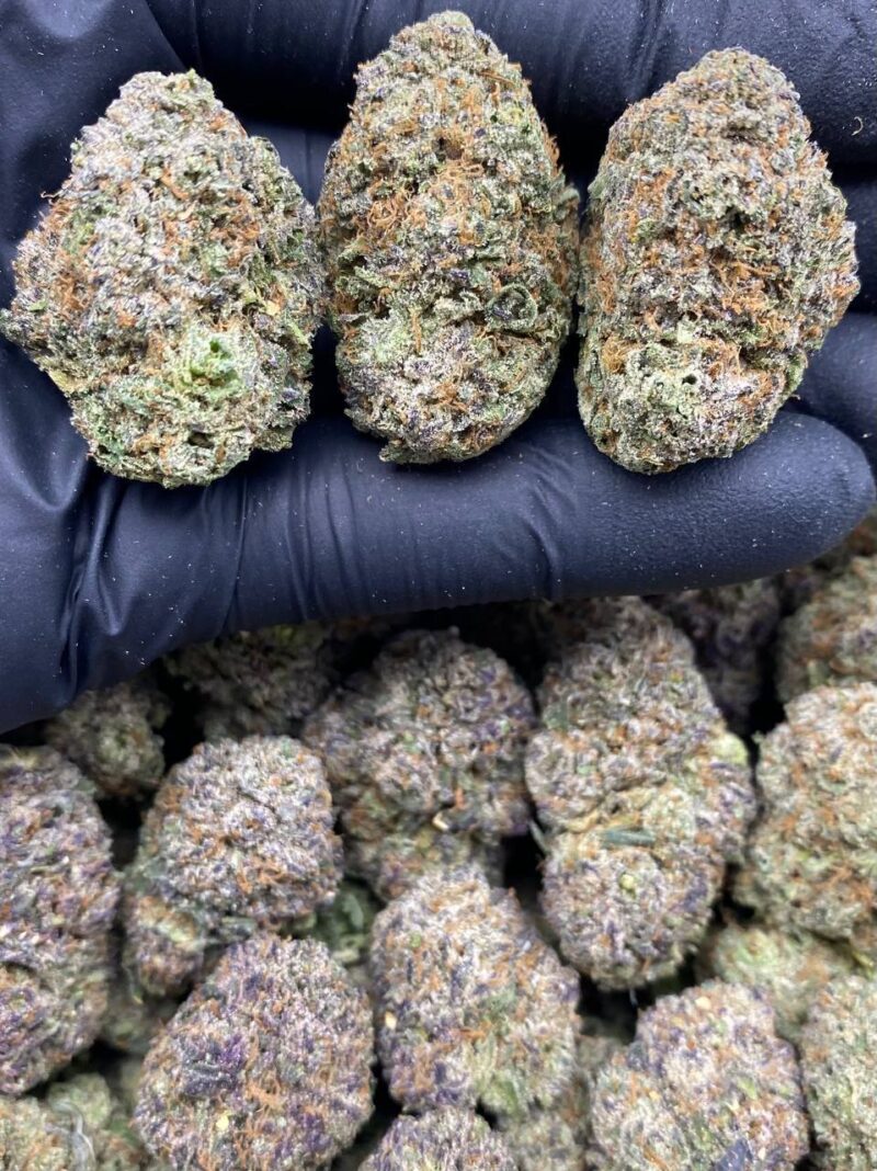 Blueberry Gelato