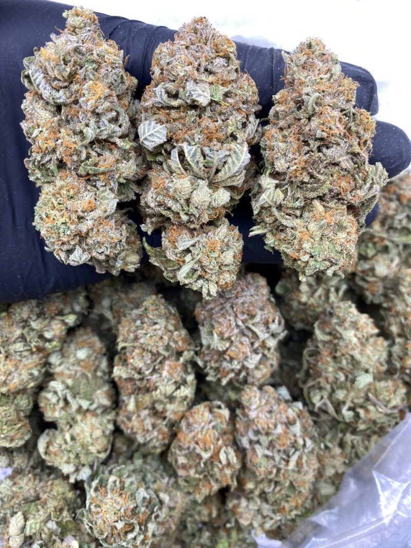 Platinum Gushers - Image 3