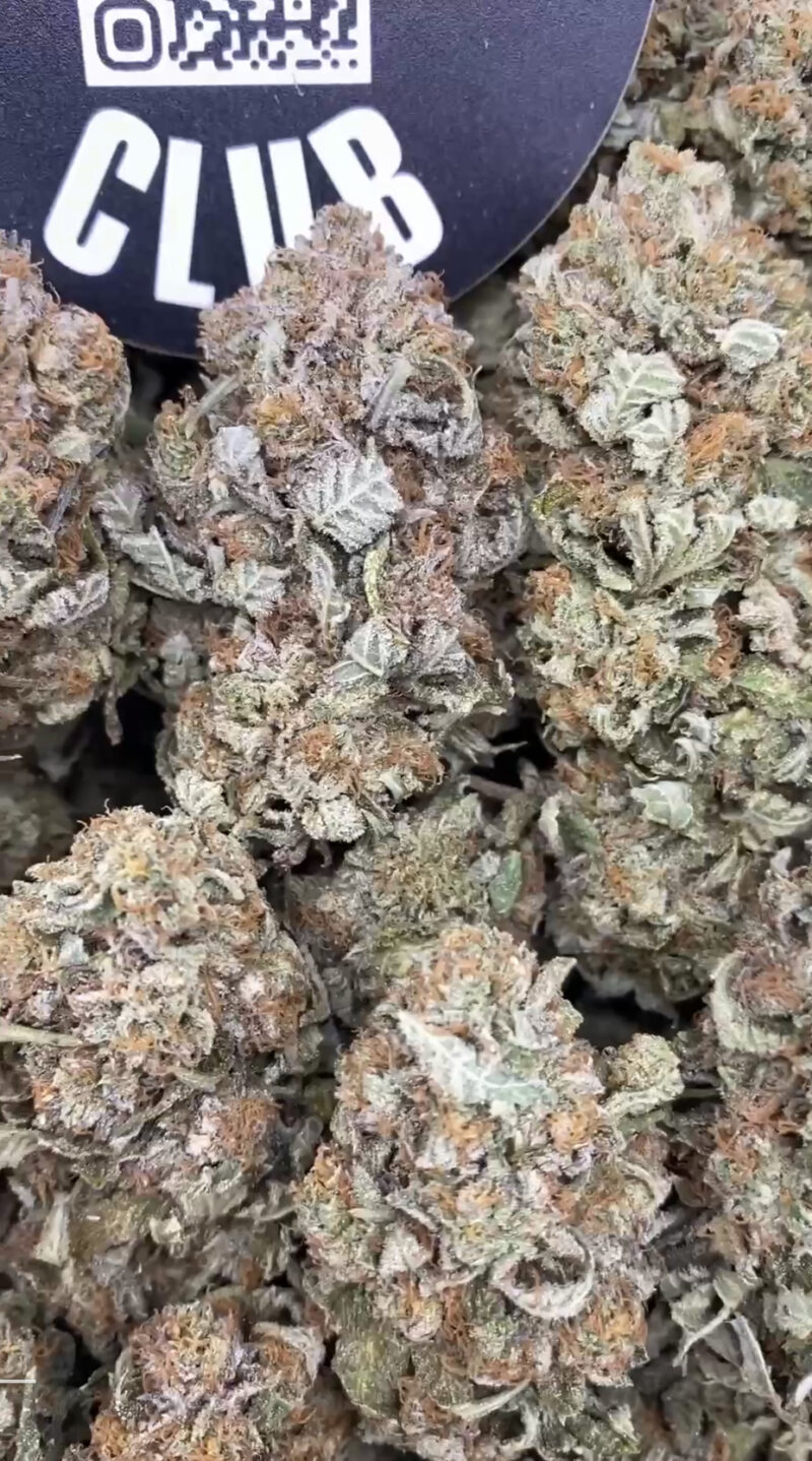 Platinum Gushers