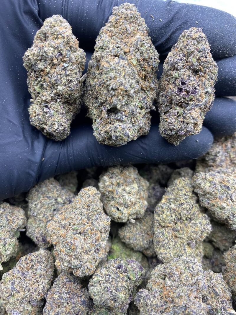 Purple Runtz
