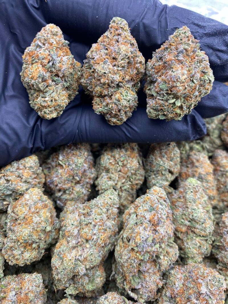 Candy Runtz