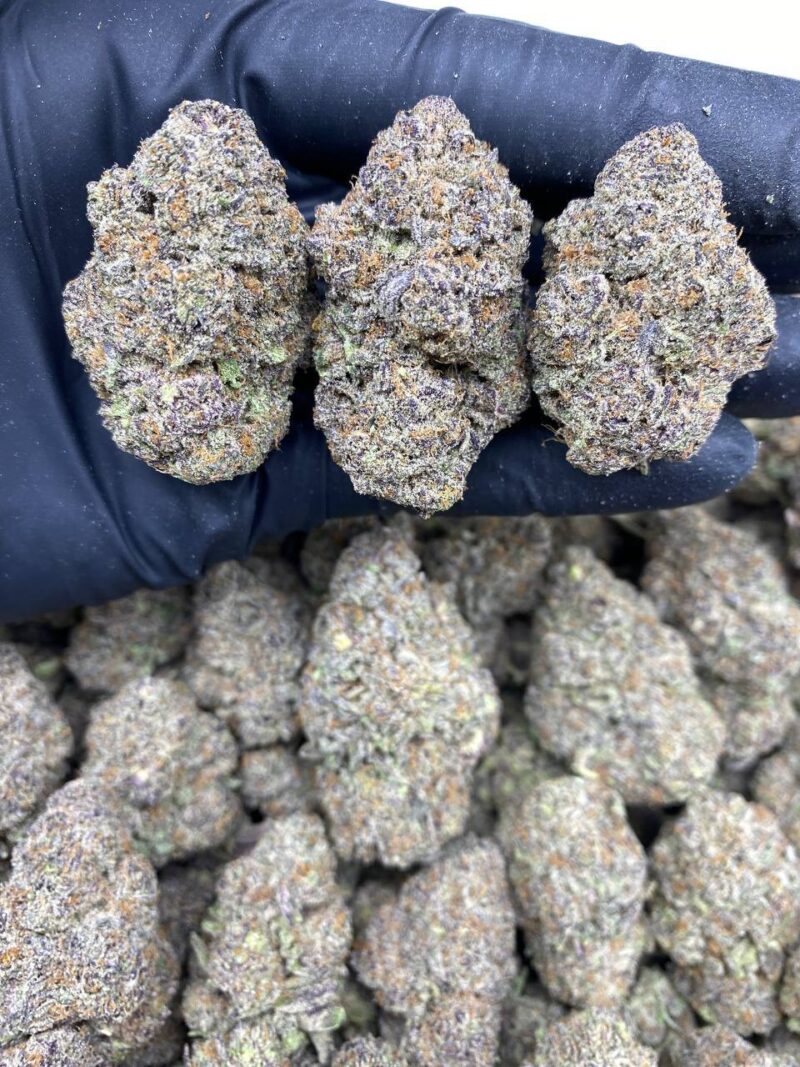 Purple Space Zookies