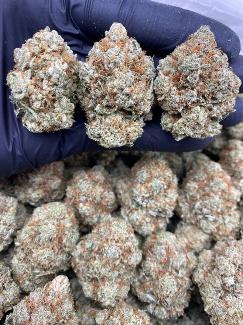 Cookie Glue