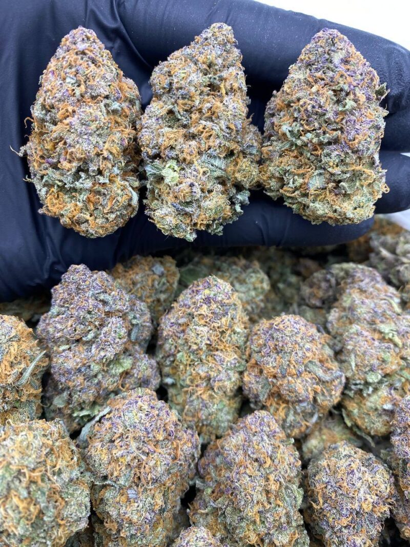 Gelato Candy