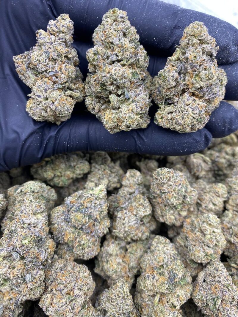 Lemon Diesel